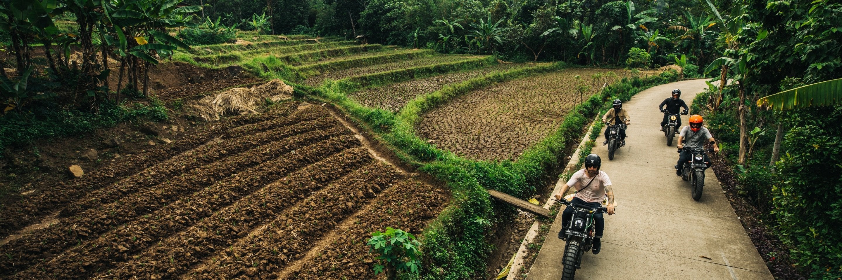 Vol. 18: West Java | Roark – Roark UK