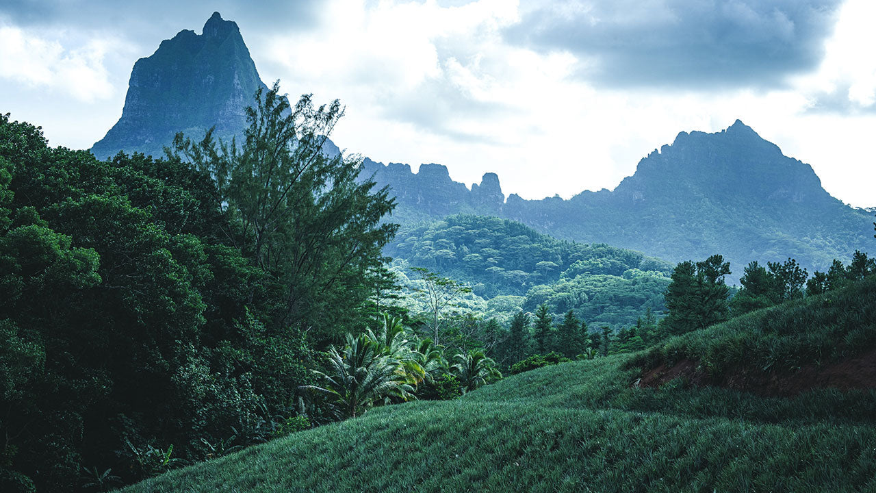 Tahitian Landscape
