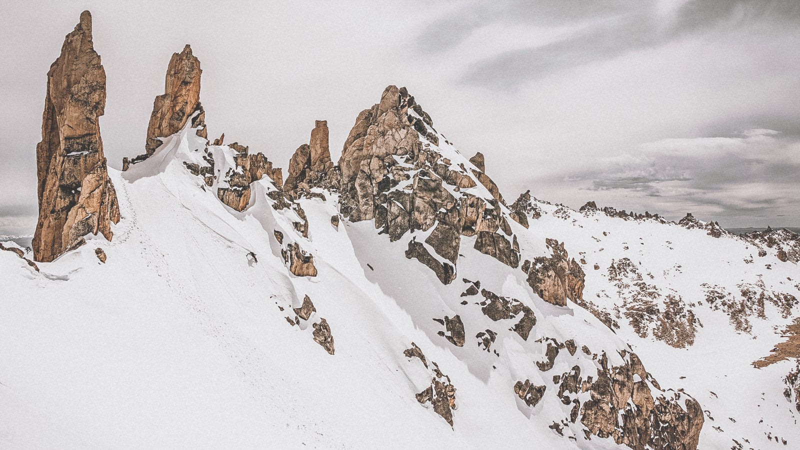 Roark Welcomes Revivalist Manu Dominguez