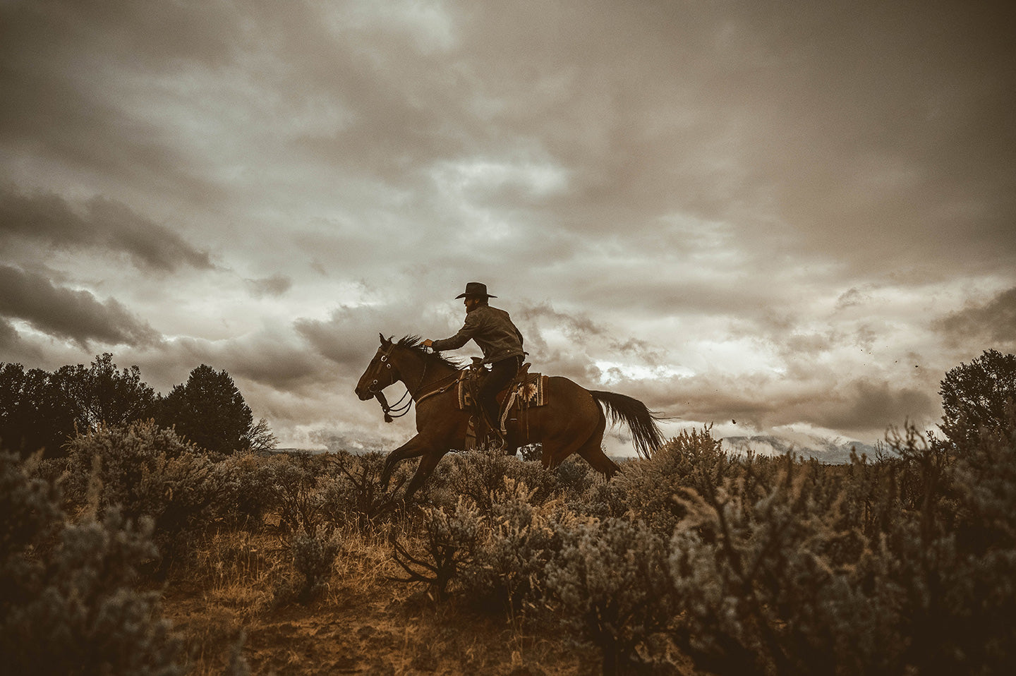 "Out of Range" with Wrangler