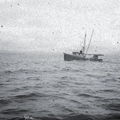 THE MERCHANT MARINE