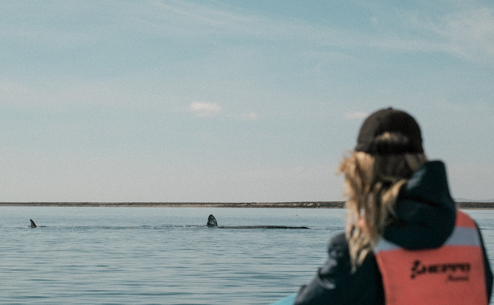 Refuge in a Remote Bay