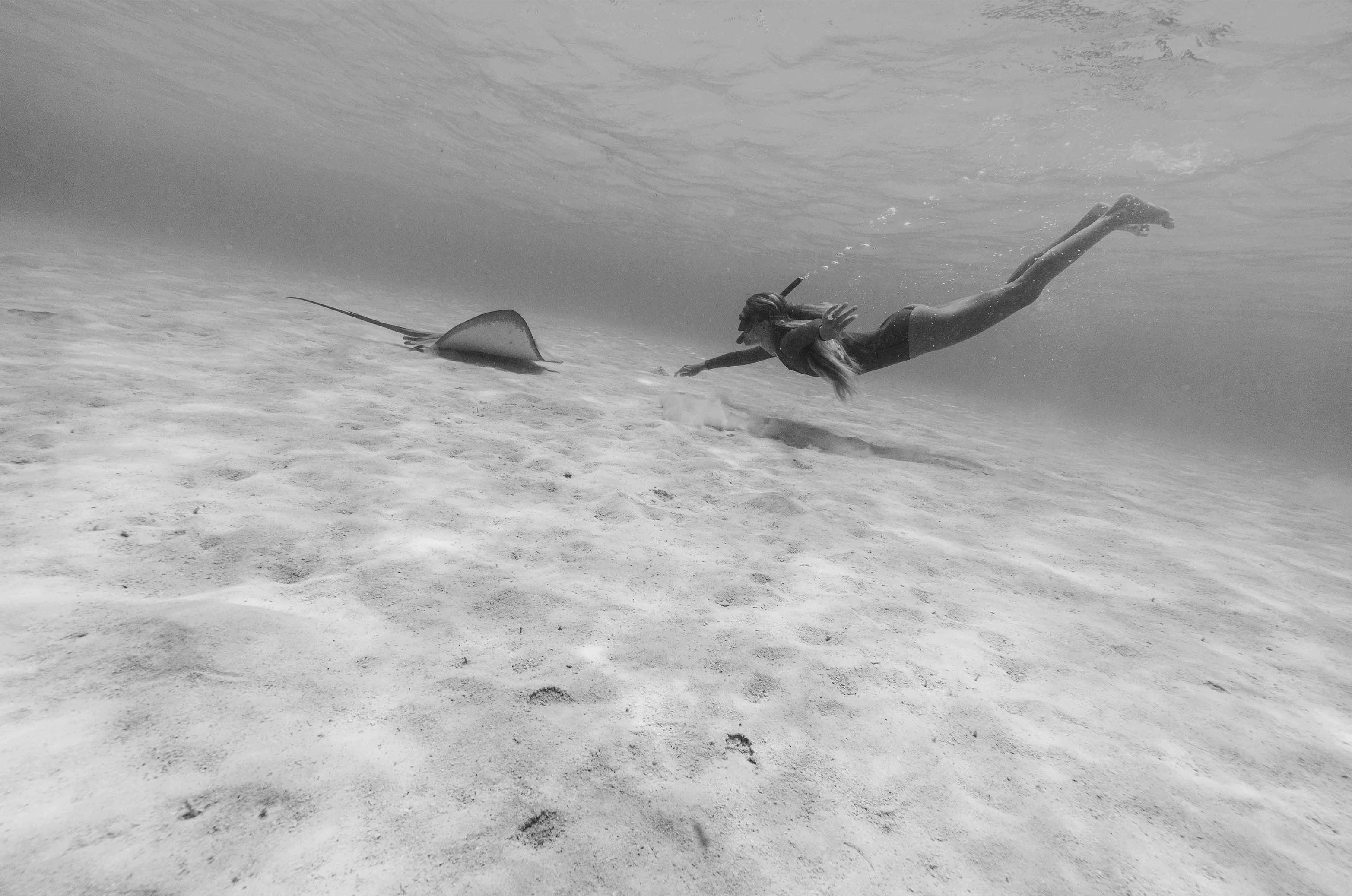 Hanalei Freediving